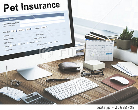 Pet Insurance Owner Puppy Safety Policy Animal Concept 25683708