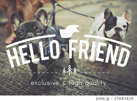 Hello Friend Hi Relationship Community Greeting Concept Hello Friend Hi Relationship Community Greeting Concept 25683826