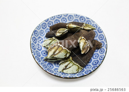 珍味　亀の手 25686563