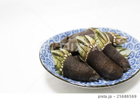 珍味 亀の手 珍味 亀の手 25686569