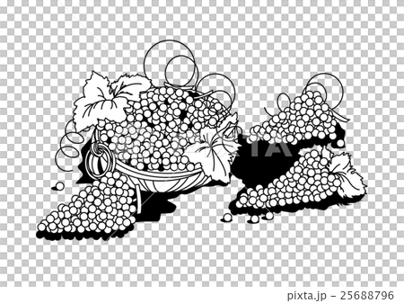 Black and white illustration of grapes Black and white illustration of grapes 25688796