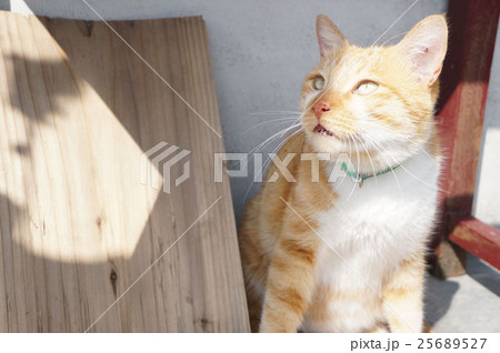 台湾 観光地 侯硐 25689527