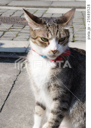 台湾 観光地 侯硐 25689528