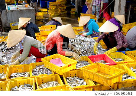 Vietnam women with conical hat are making fish Vietnam women with conical hat are making fish 25690661