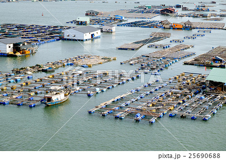 Long Son float fishing village, Long Son, Long Hai 25690688