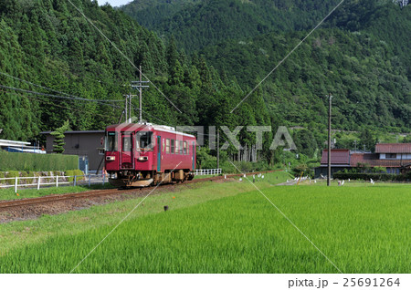 長良川鉄道　初夏のローカル線 25691264