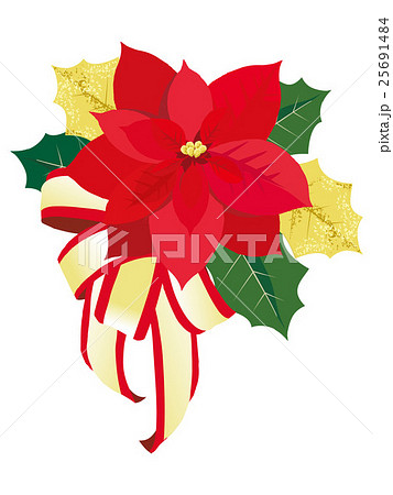 クリスマス ポインセチアのイラスト素材 25691484 Pixta