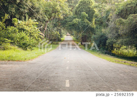 The Road in forest 25692359
