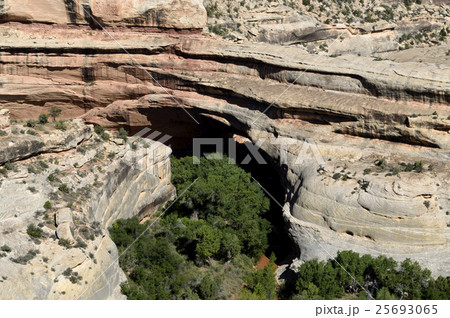 93512　ナチュラルブリッジ国定公園 25693065