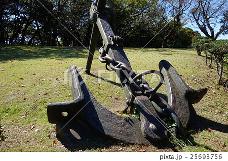 観音崎公園 25693756