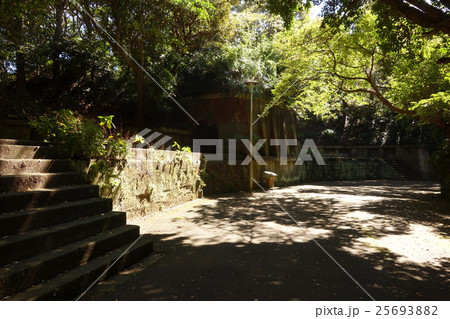 観音崎公園 25693882