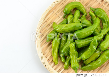 シシトウガラシ 25695968