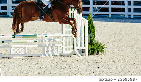 Rider on bay horse in competitions 25695987