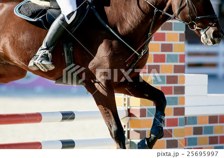 Rider on bay horse in competitions 25695997