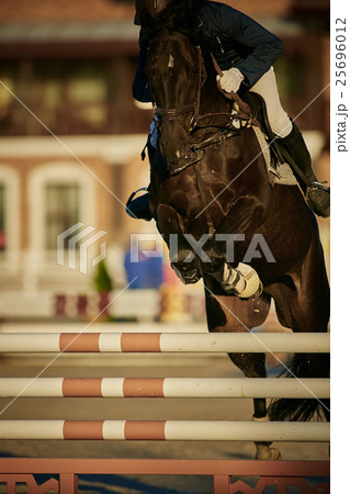 Rider on bay horse in competitions 25696012