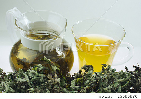 蓬のハーブティー 蓬のハーブティー 25696980