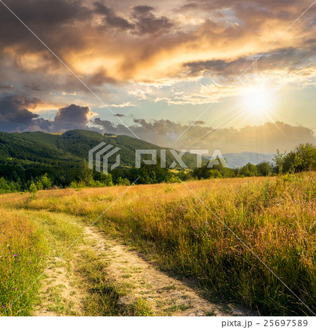 going to nature at sunset going to nature at sunset 25697589