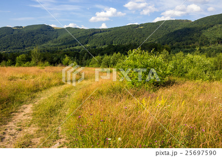 valley in mountains under sky with clouds 25697590