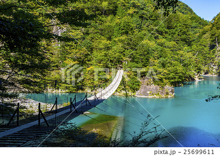 寸又峡温泉 夢の吊り橋 寸又峡温泉 夢の吊り橋 25699611