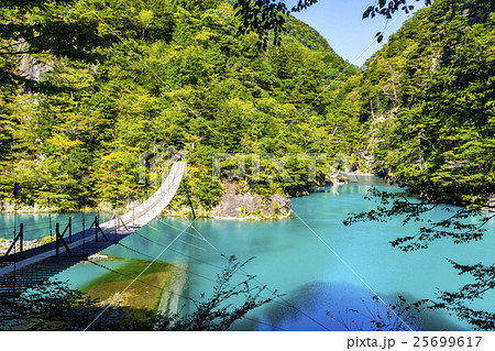 寸又峡温泉　夢の吊り橋 25699617