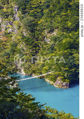 寸又峡温泉　夢の吊り橋 25699620