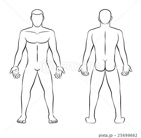 Nude Man Illustration Front Back View Outline 25699662