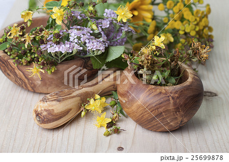 Mortar with pestle and herbs 25699878