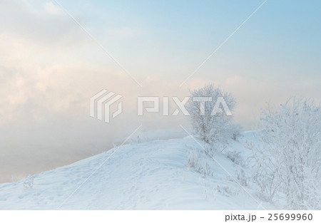 winter landscape snow 25699960