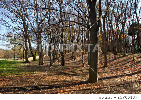 冬木立２ 25700187