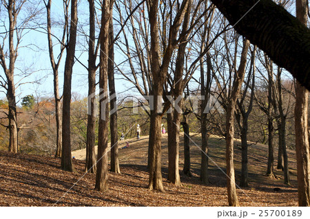 冬木立１ 25700189