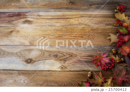 Thanksgiving greeting background with berries Thanksgiving greeting background with berries 25700412