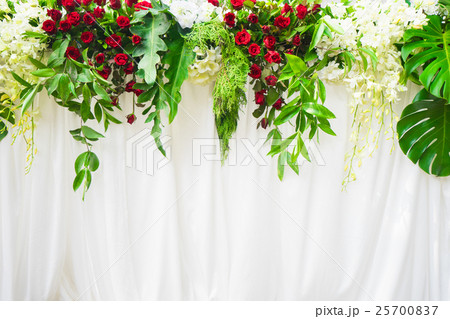 Background red flower and green leaves petals Background red flower and green leaves petals 25700837