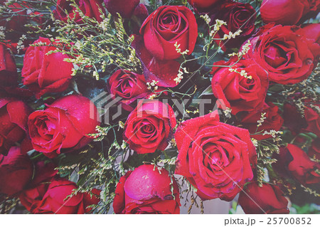 red roses background. Retro filter. red roses background. Retro filter. 25700852