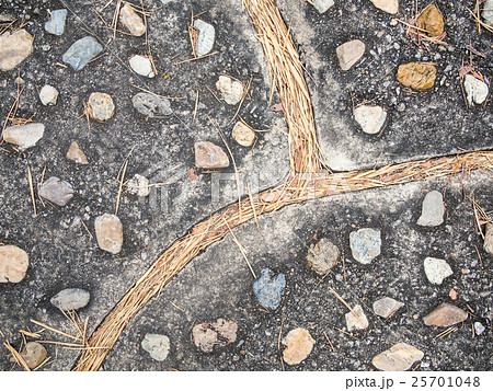 Stone walk path curve intersection dried leaves Stone walk path curve intersection dried leaves 25701048