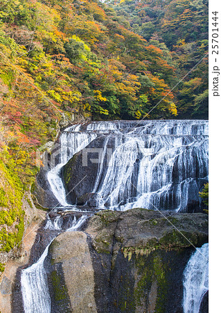 【紅葉】名勝　袋田の滝 25701444