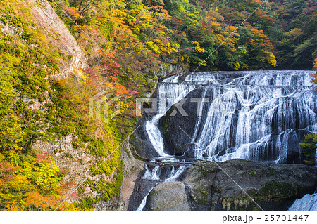 【紅葉】名勝　袋田の滝 25701447