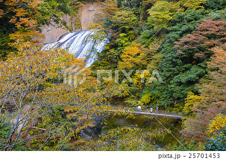 【紅葉】名勝　袋田の滝 25701453
