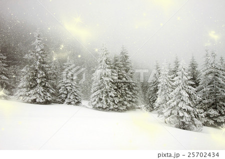 Christmas background with snowy fir trees Christmas background with snowy fir trees 25702434