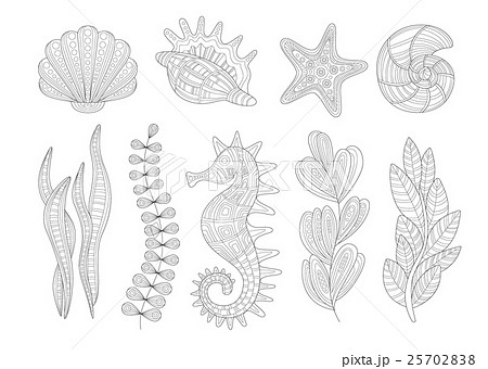 Underwater Nature Set Adult Zentangle Coloringのイラスト素材