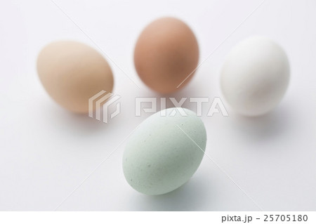 いろんな玉子 25705180