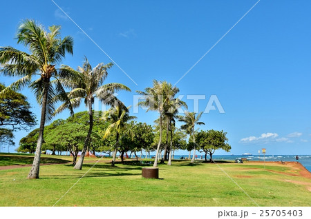 ハワイの休日 25705403