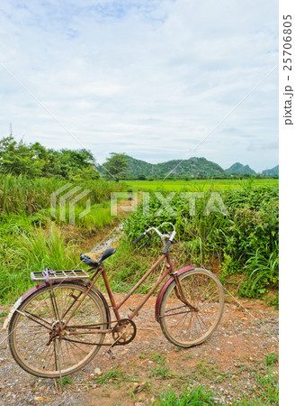 Old bicycle at rice field Old bicycle at rice field 25706805