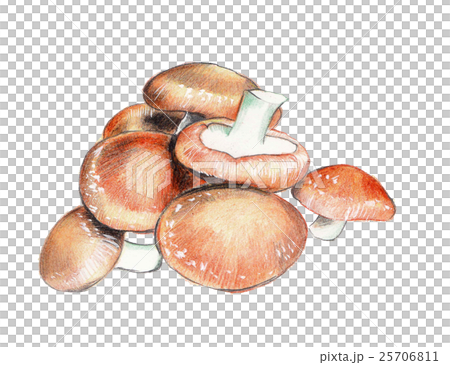 Fruits & Vegetables Cooking Mushrooms Food 25706811