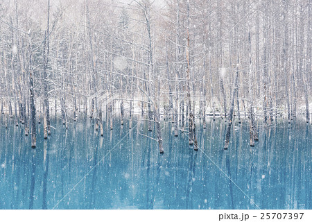 青い池と雪2の写真素材