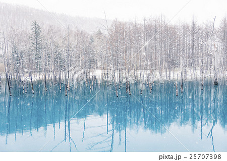 青い池と雪3の写真素材