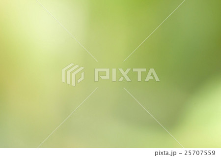 Green nature background Green nature background 25707559