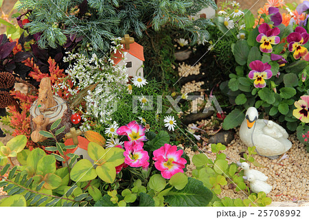 寄せ植え　小動物のジオラマ 25708992