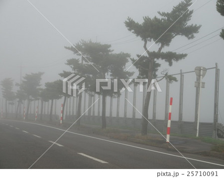 霧の道路2 霧の道路2 25710091