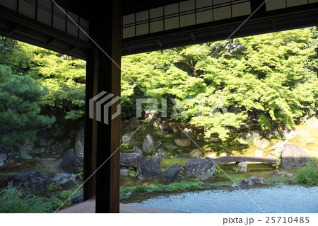 圓徳院 庭園 圓徳院 庭園 25710485