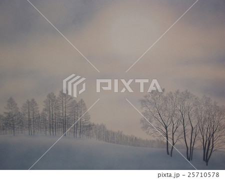 淡き光　移ろう時（雪景色） 25710578